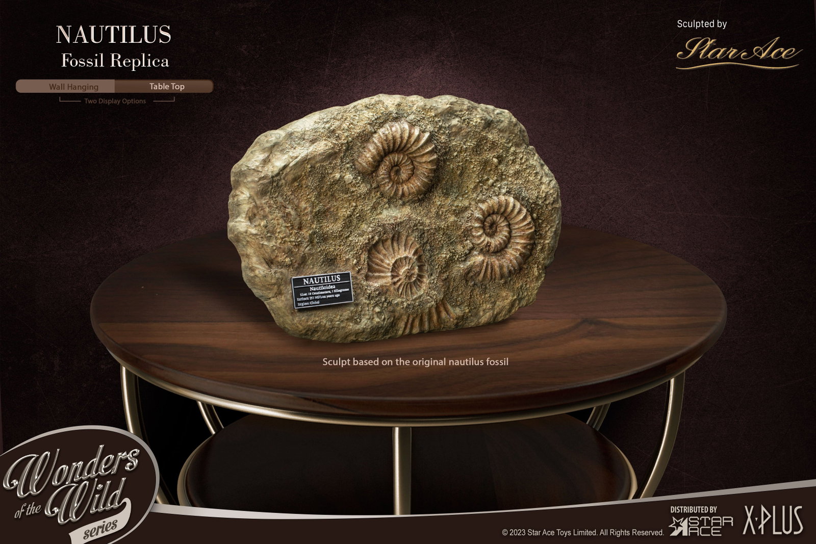 Nautilus 1:1 Frame & Fossil (Deluxe ver.) image 9