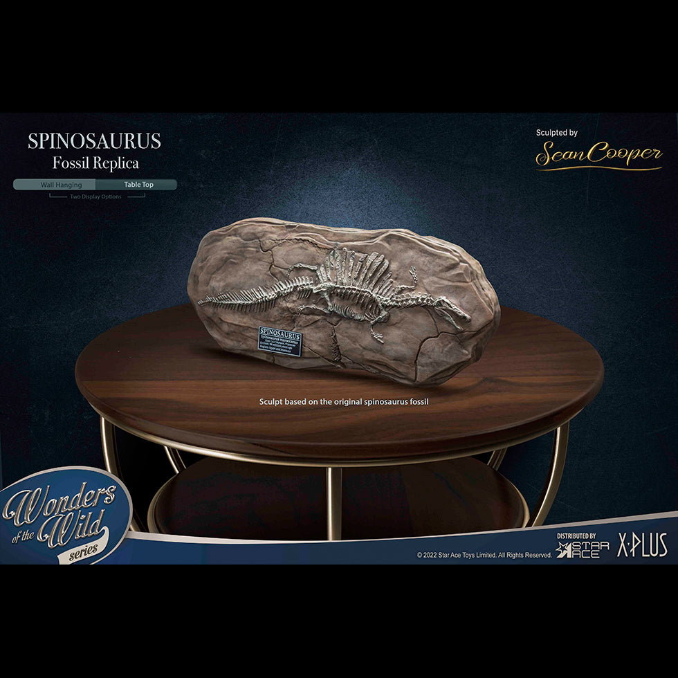 Spinosaurus "Land painting" & Fossil (DX Ver) image 3