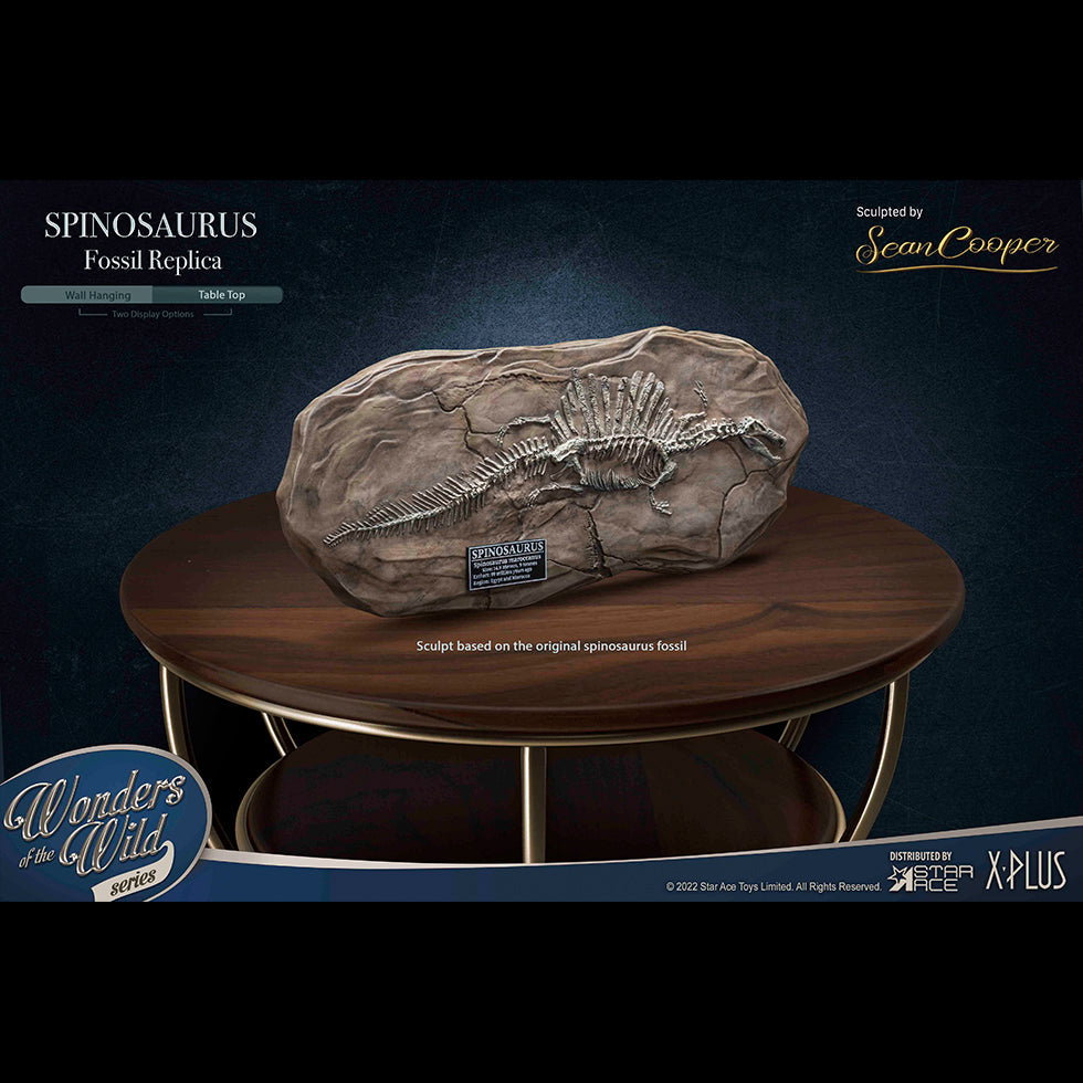 Spinosaurus "Land painting" & Fossil (DX Ver) image 5