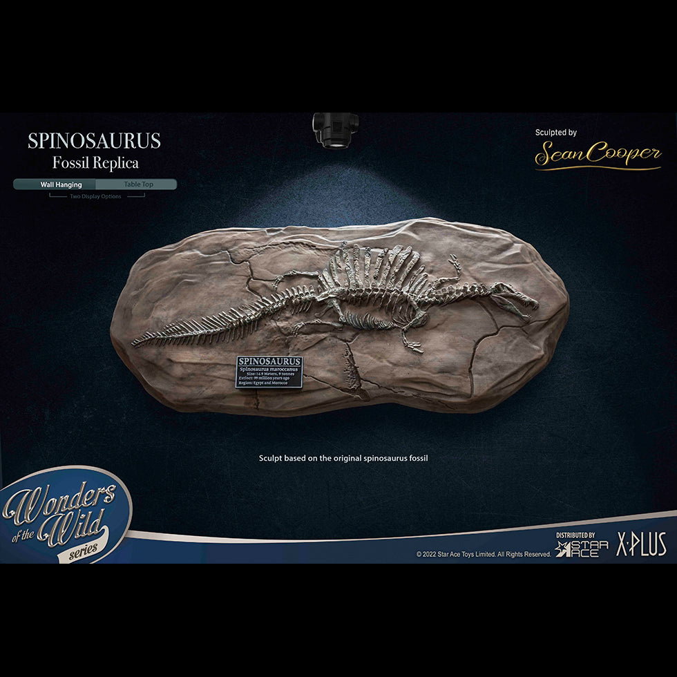 Spinosaurus "Land painting" & Fossil (DX Ver) image 6