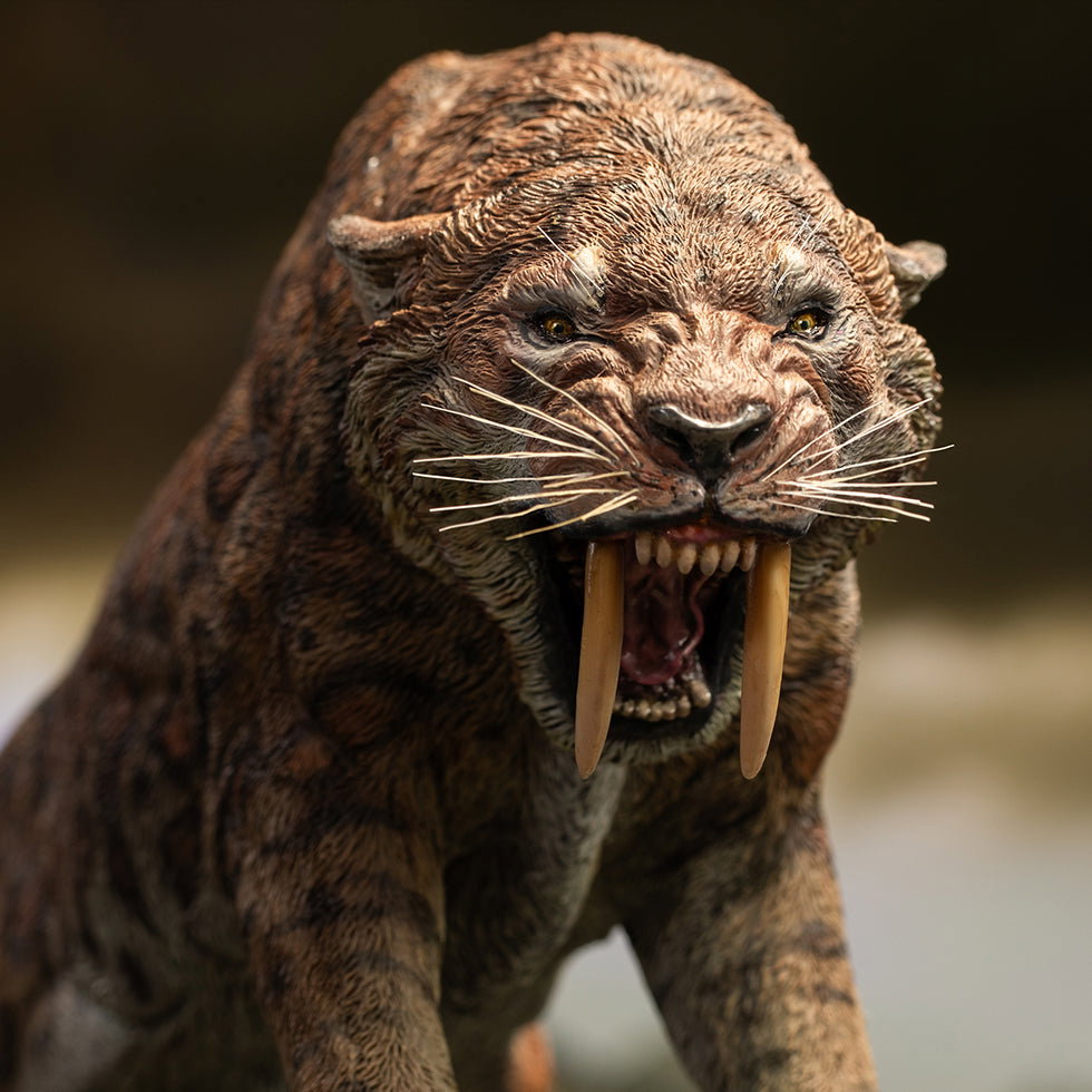 Smilodon image 1