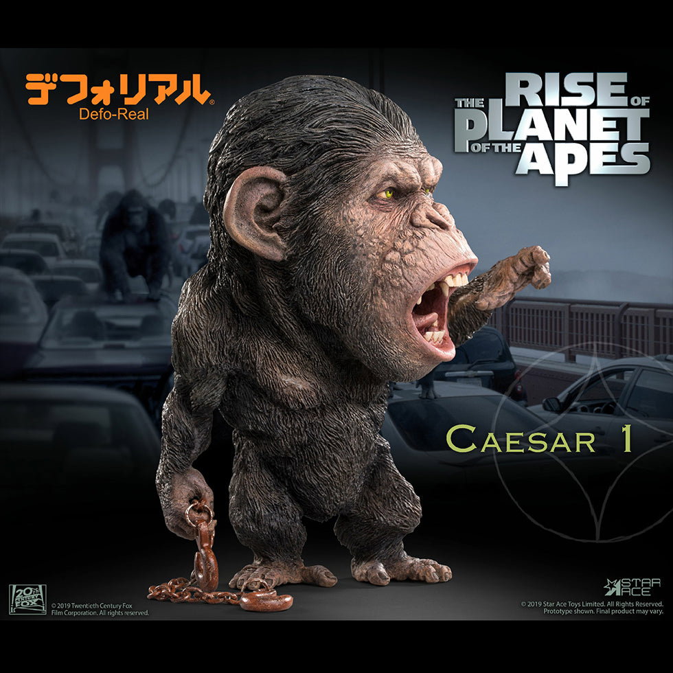 DF Caesar 1 NX image 1