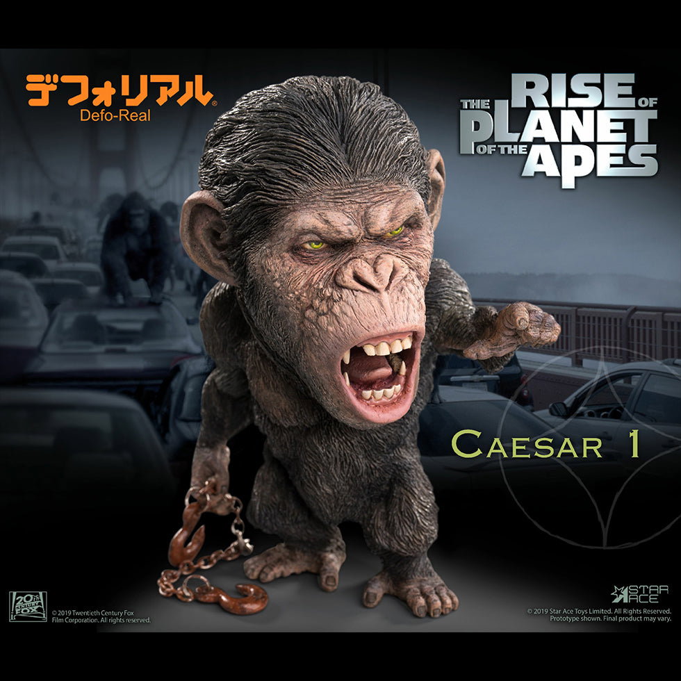 DF Caesar 1 NX image 2