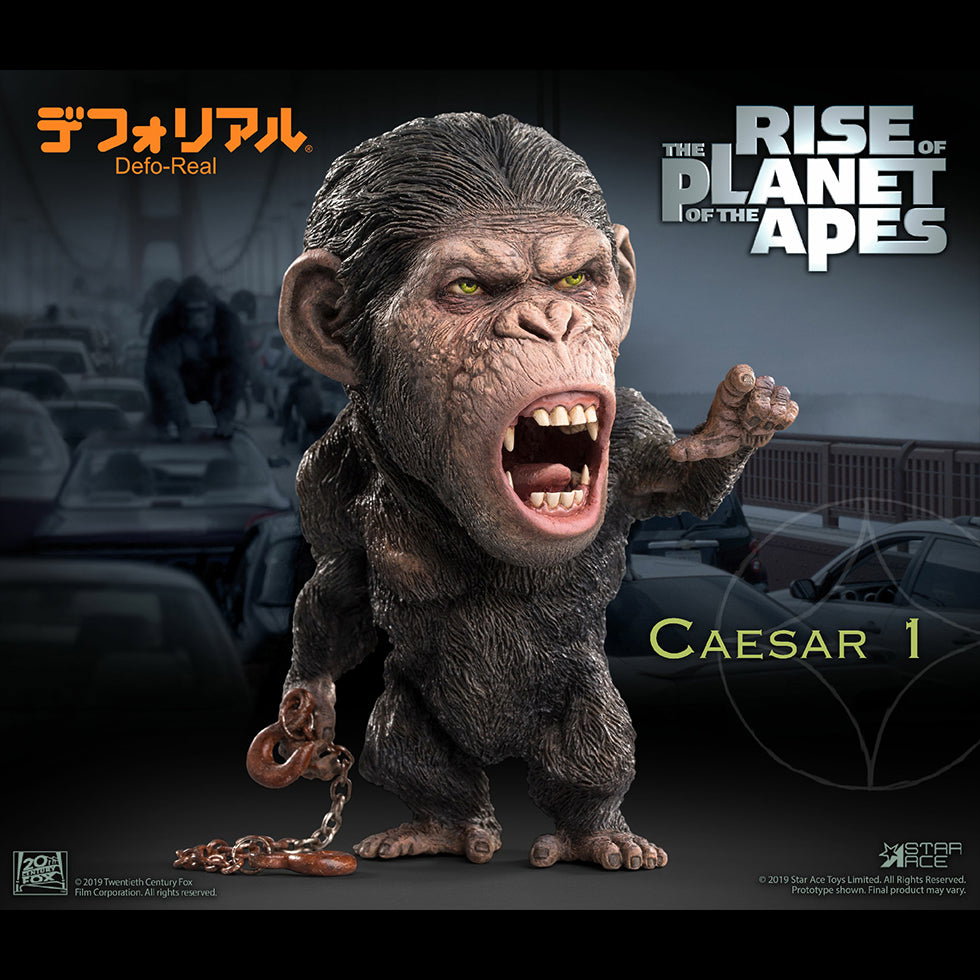 DF Caesar 1 NX image 3