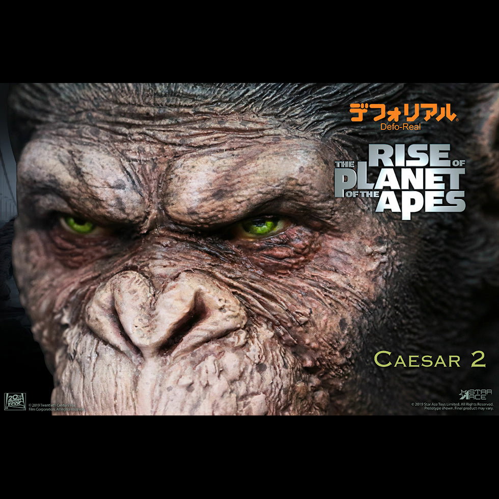 DF Caesar 1 DX image 1