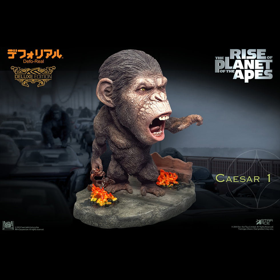 DF Caesar 1 DX image 3