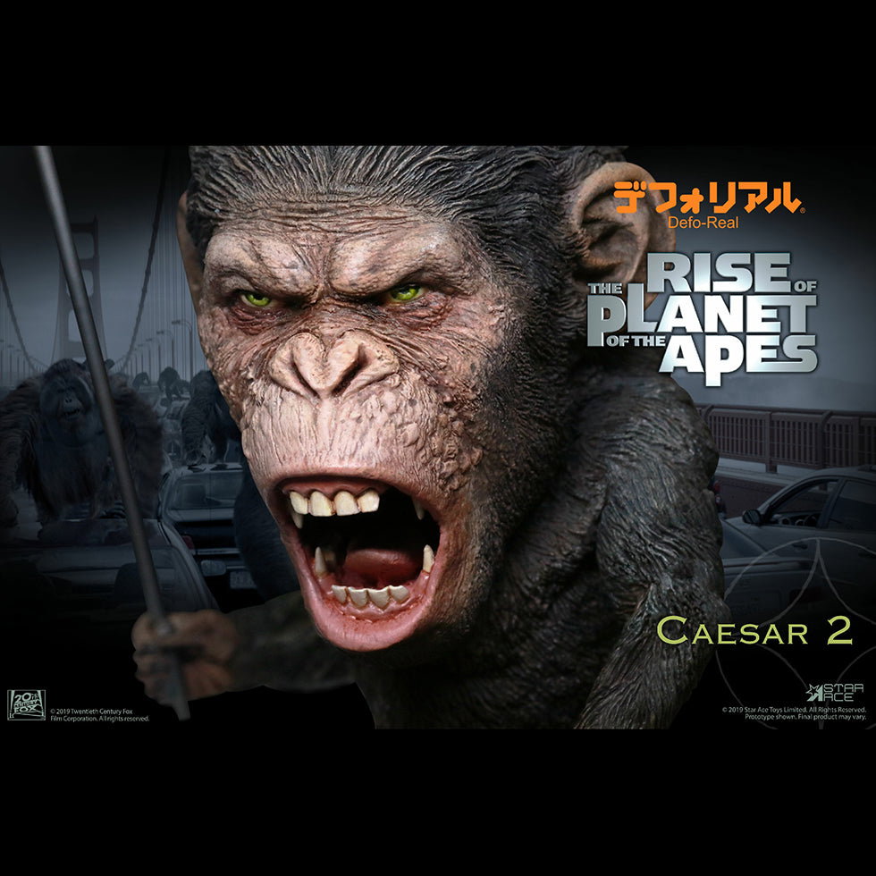 DF Caesar 2 NX image 1