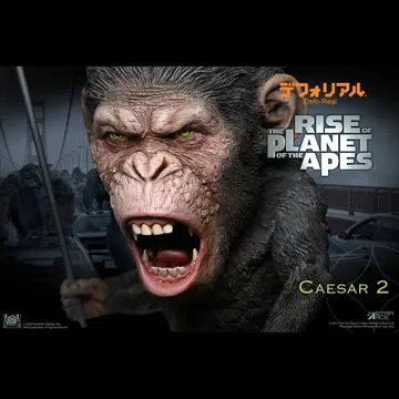 DF Caesar 2 NX