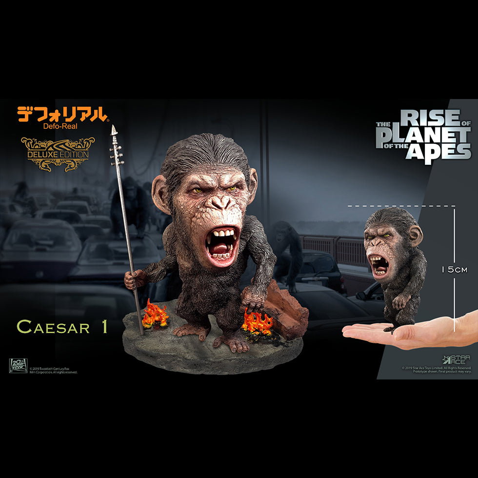 DF Caesar 2 DX image 2