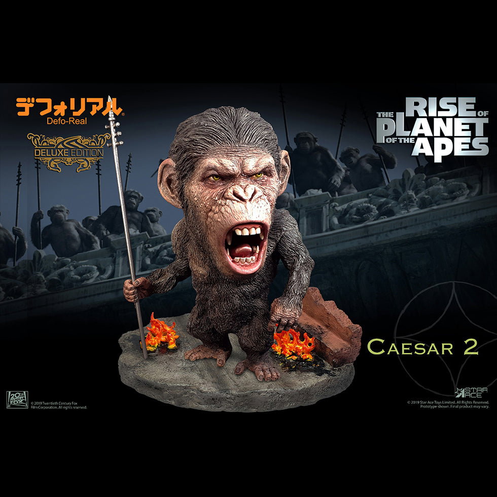 DF Caesar 2 DX image 3