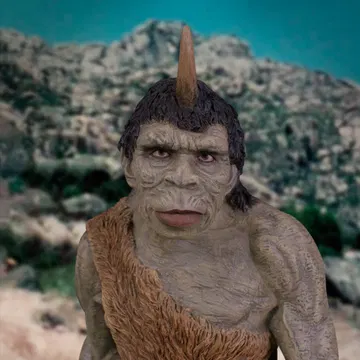 Troglodyte NX