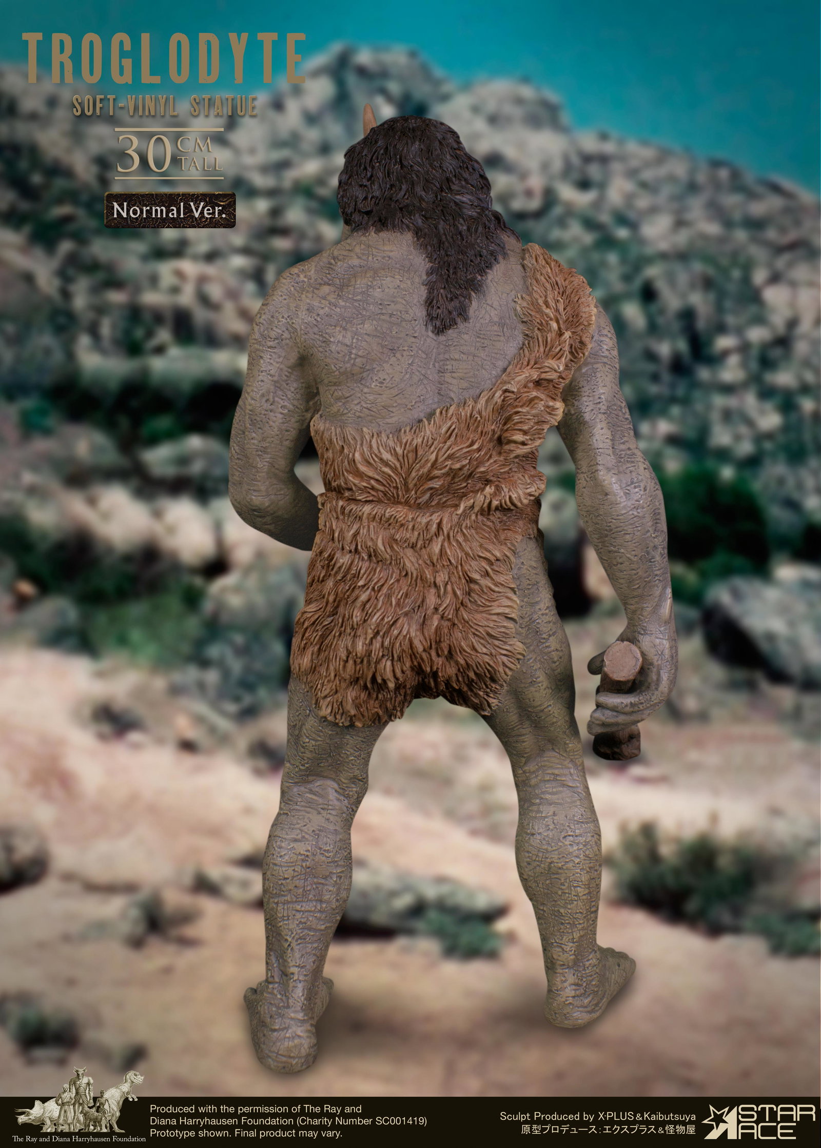 Troglodyte NX image 5