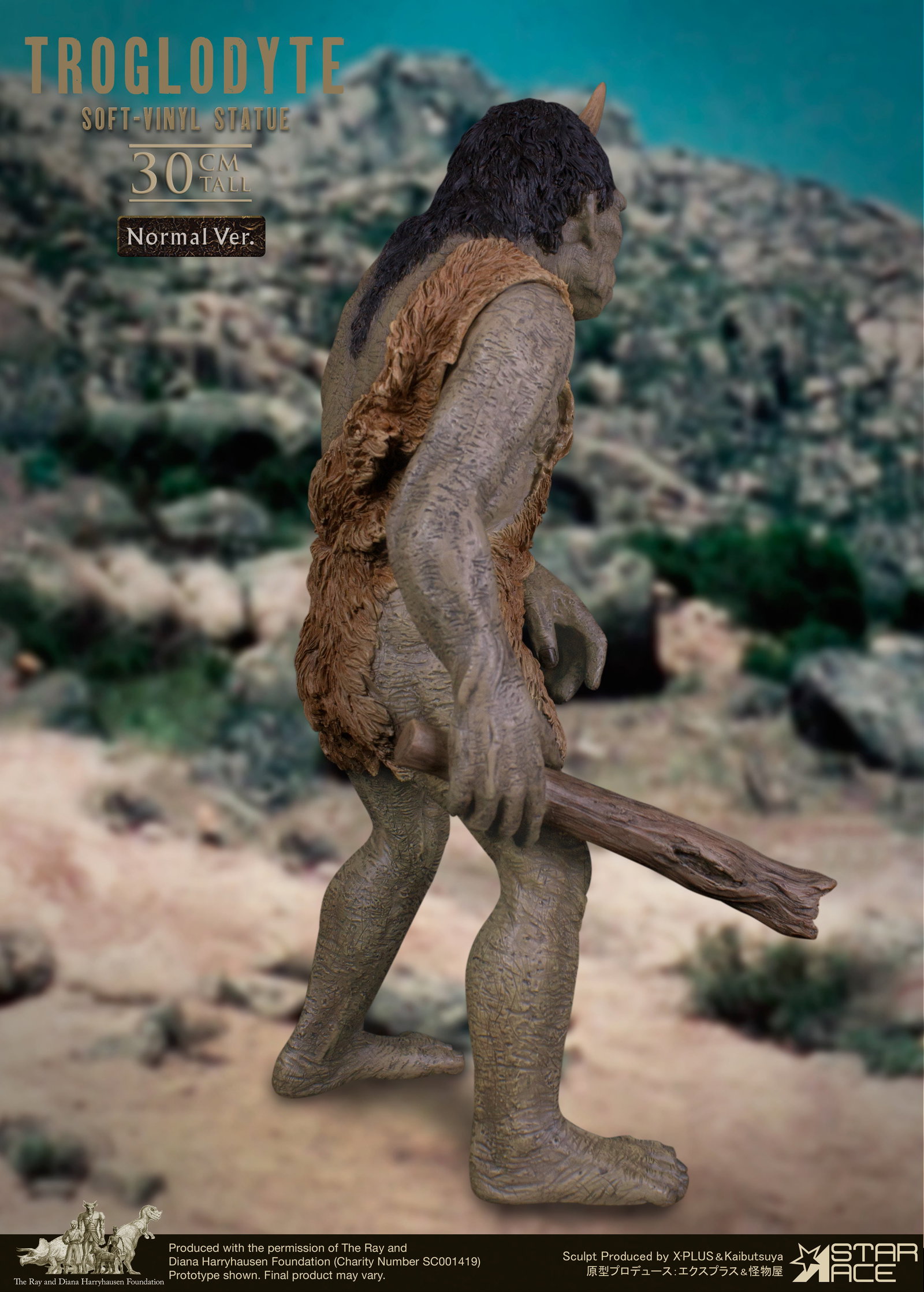 Troglodyte NX image 6