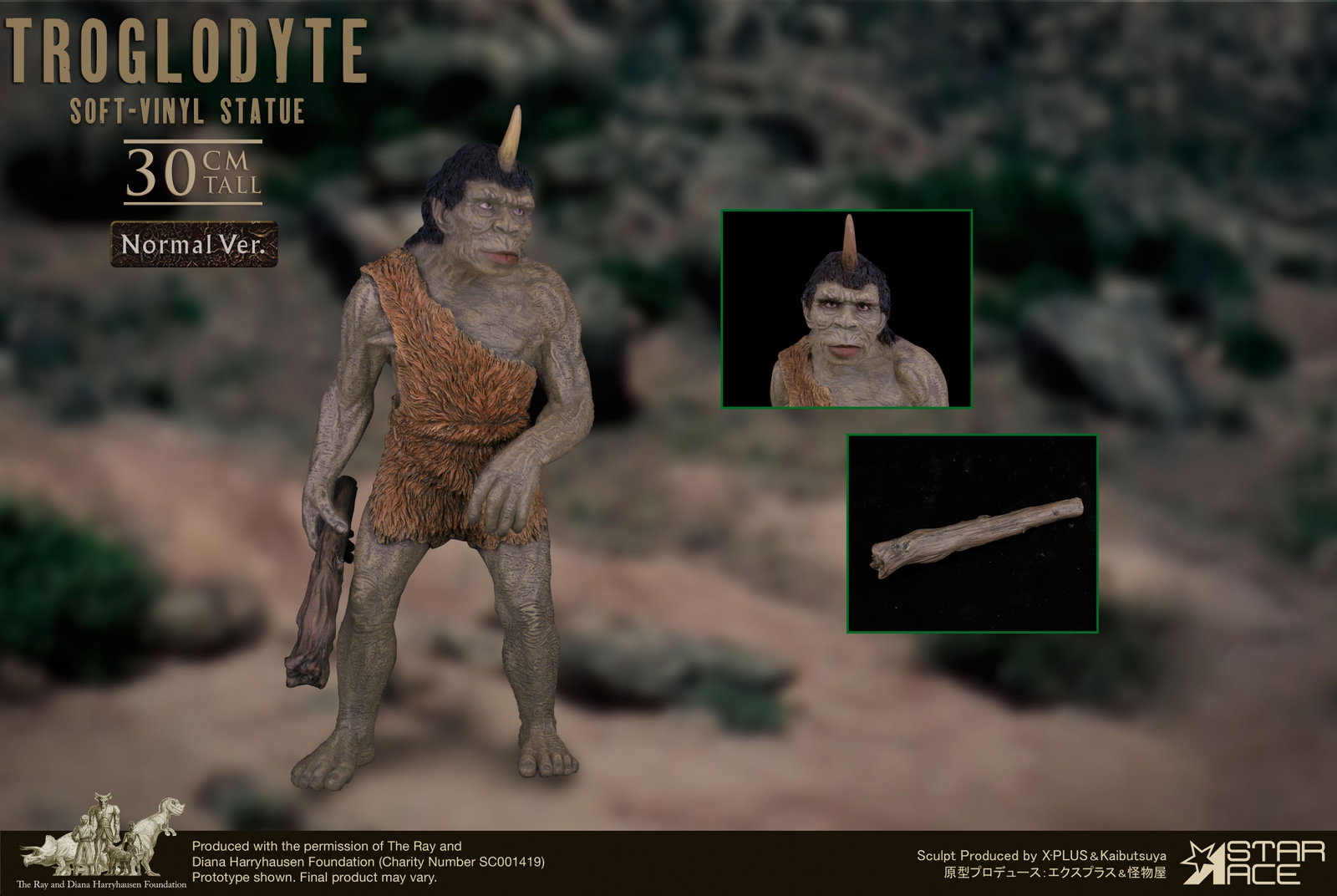 Troglodyte NX image 7