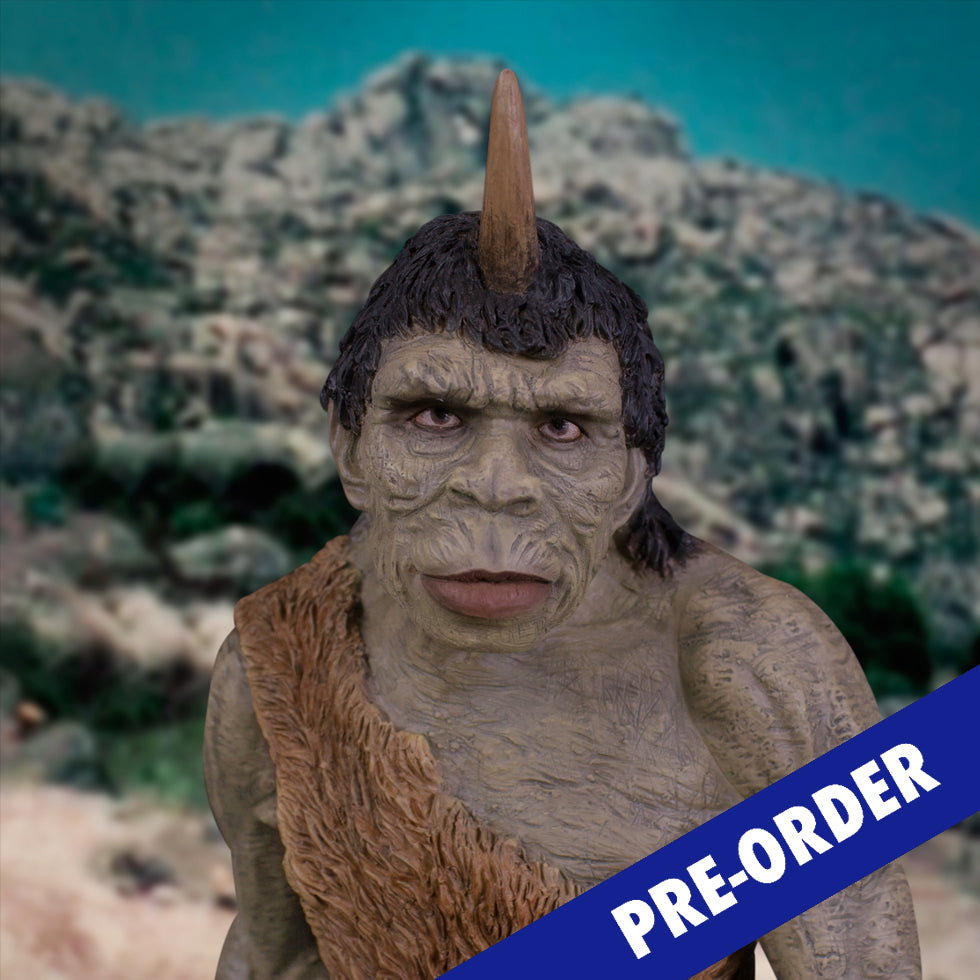 Troglodyte NX image 8