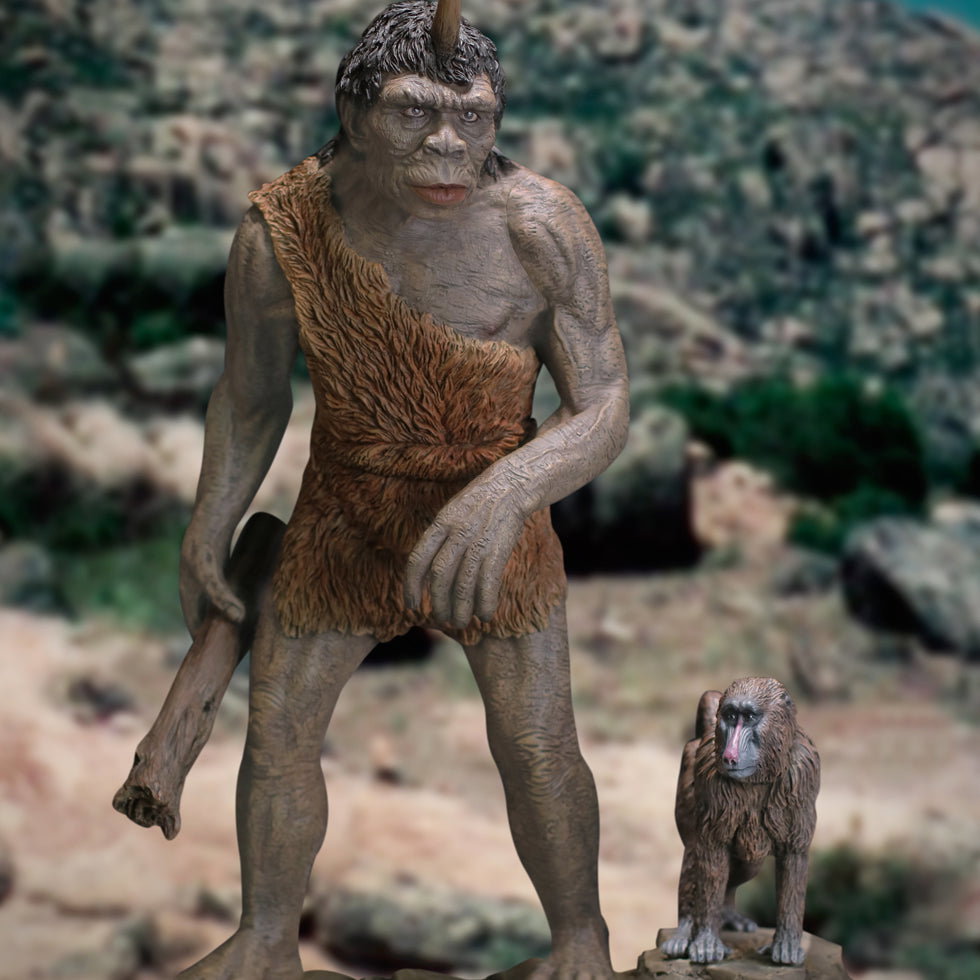 Troglodyte DX image 1