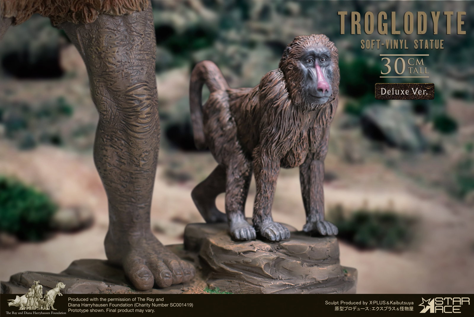Troglodyte DX image 4