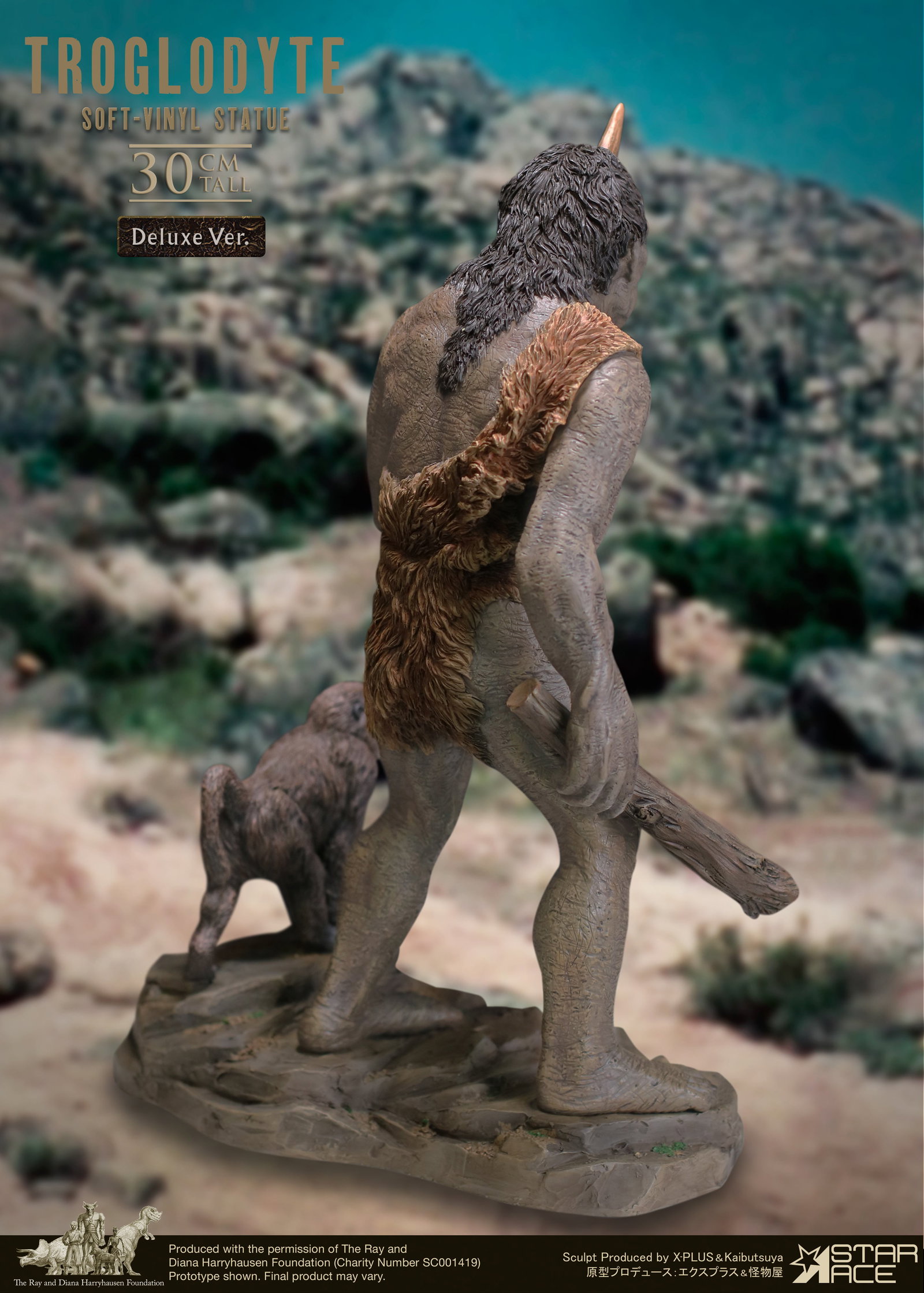 Troglodyte DX image 5
