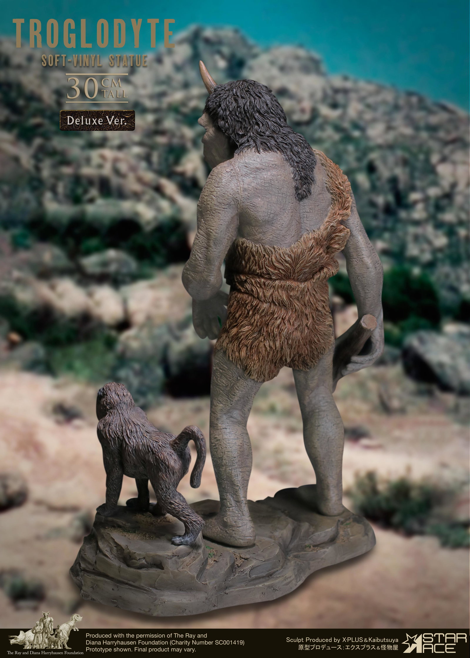Troglodyte DX image 6