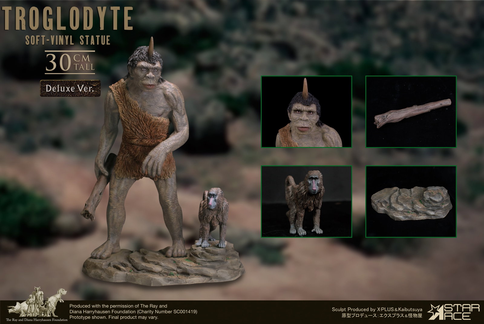 Troglodyte DX image 7