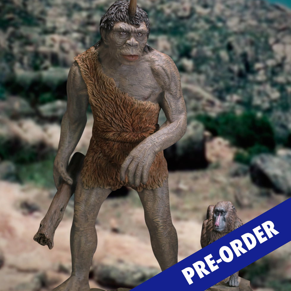 Troglodyte DX image 8
