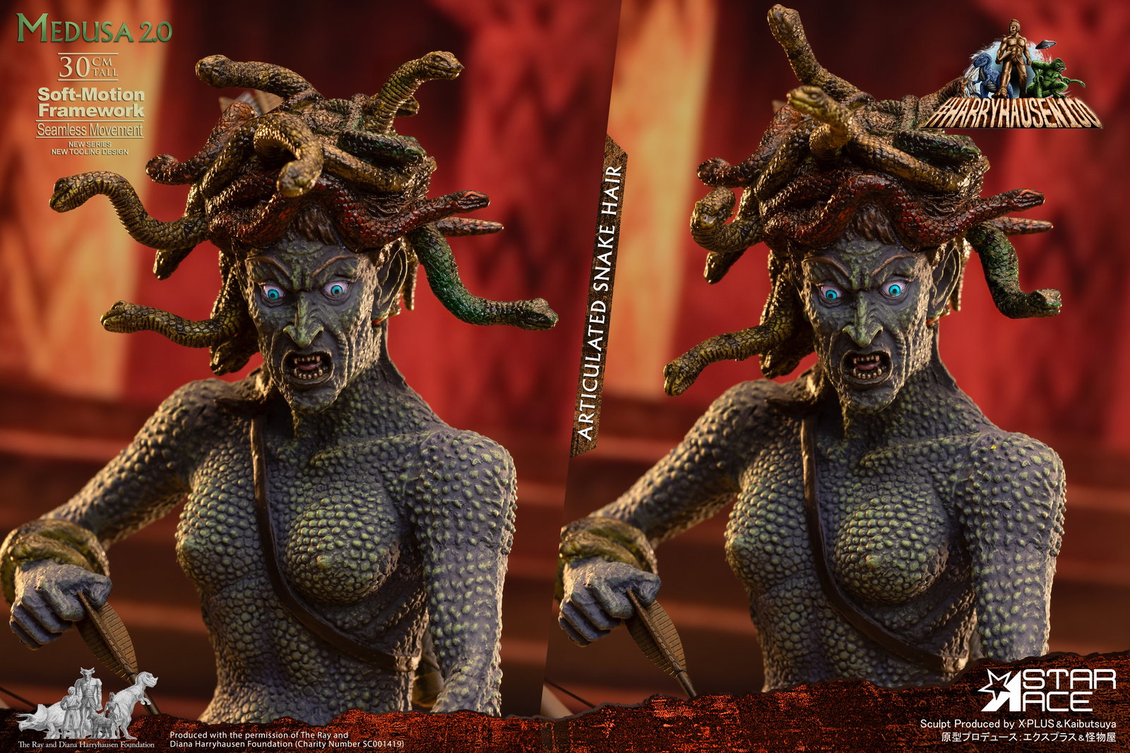 Medusa Soft-motion image 5