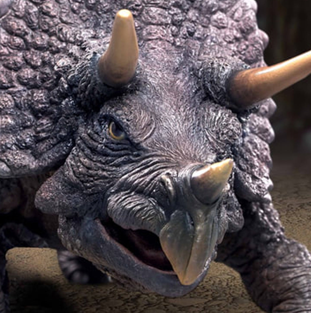 Triceratops Model Kit image 1
