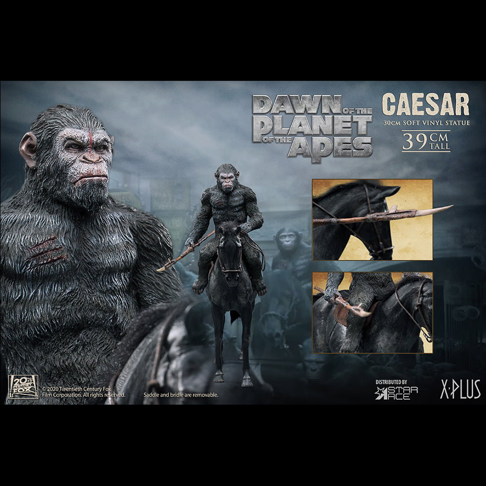 Caesar Spear image 2