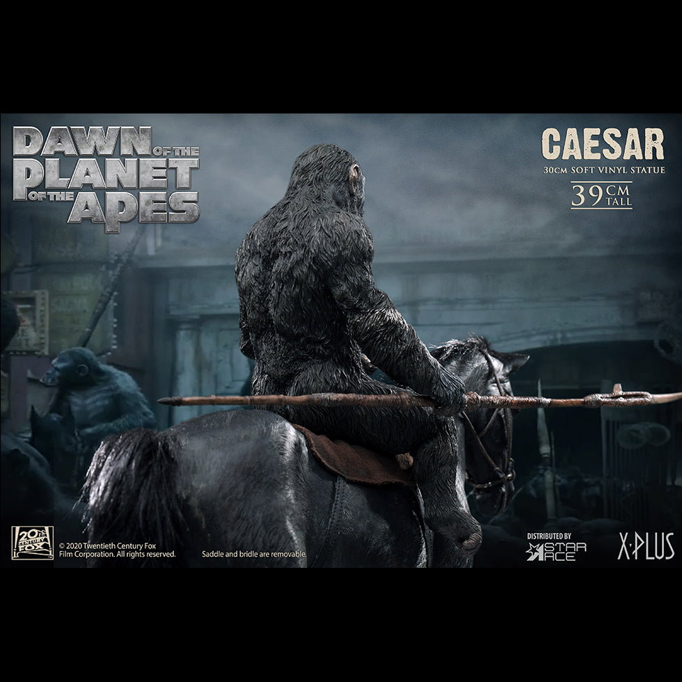 Caesar Spear image 3
