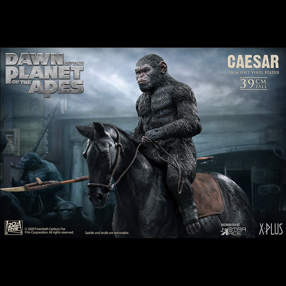 Caesar Spear image 4