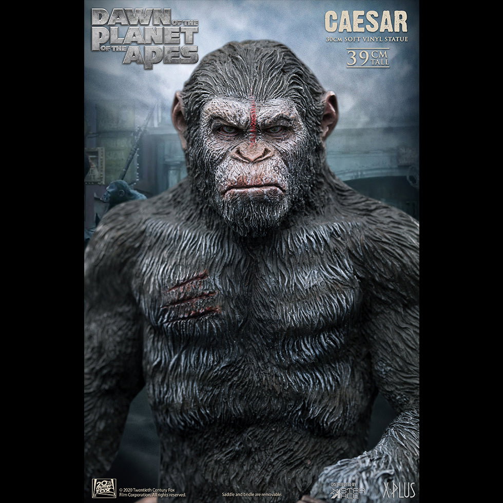 Caesar Spear image 6