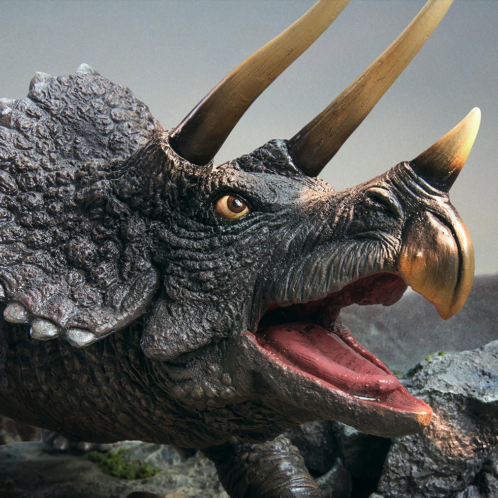 Triceratops (Ver.) image 1