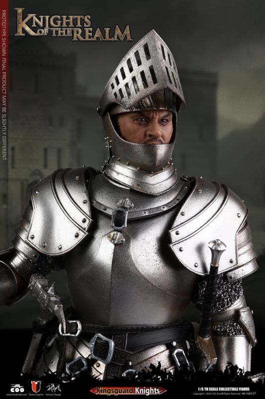 Series Of Empires - Knight Of The Realm Kingsguard image 7