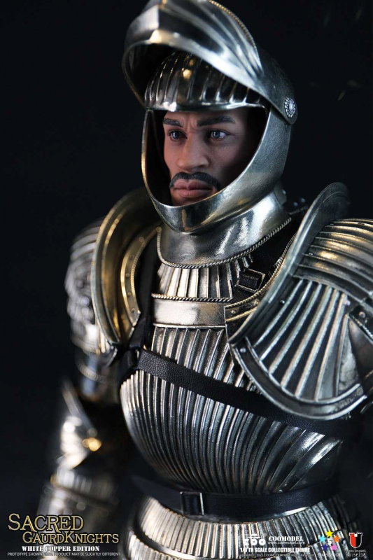 Series Of Empires - Sacred Guard Knights (White Copper Edition) image 10