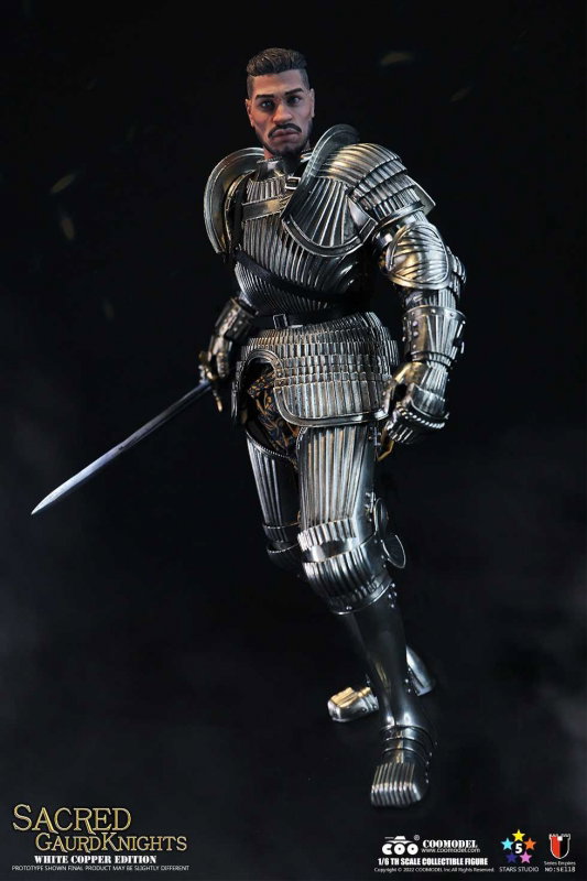 Series Of Empires - Sacred Guard Knights (White Copper Edition) image 3