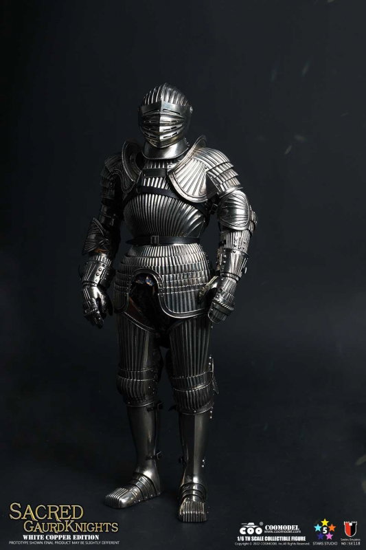 Series Of Empires - Sacred Guard Knights (White Copper Edition) image 4