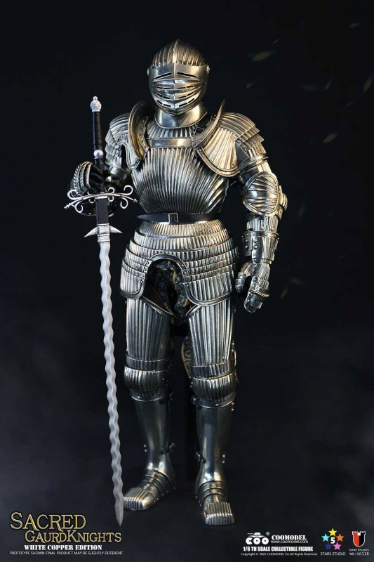 Series Of Empires - Sacred Guard Knights (White Copper Edition) image 6
