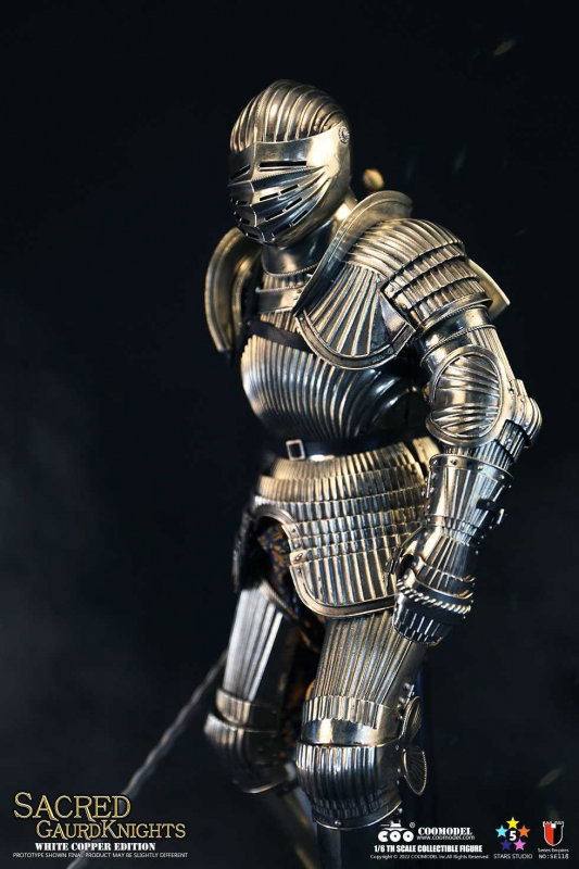 Series Of Empires - Sacred Guard Knights (White Copper Edition) image 7