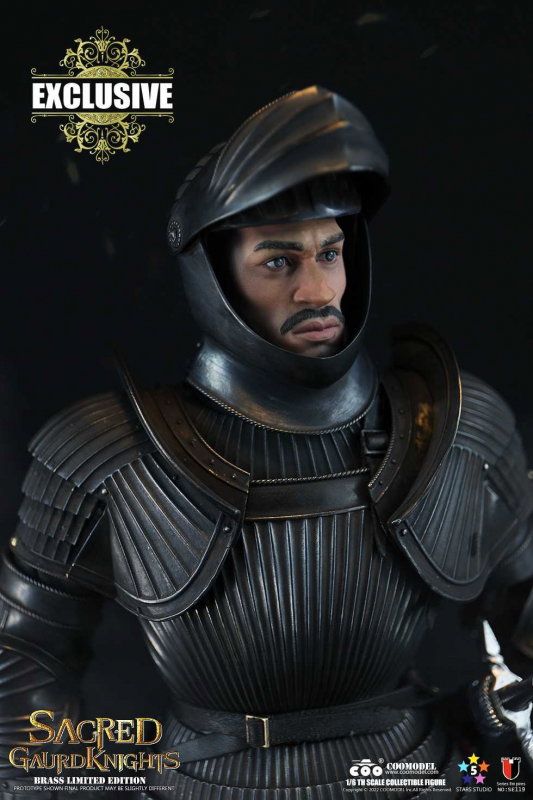 Series Of Empires - Sacred Guard Knights (Brass Limited Edition) image 10