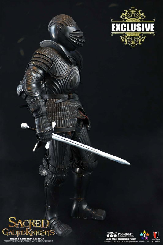 Series Of Empires - Sacred Guard Knights (Brass Limited Edition) image 4