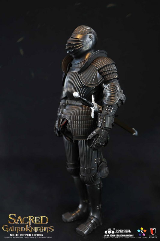 Series Of Empires - Sacred Guard Knights (Brass Limited Edition) image 5