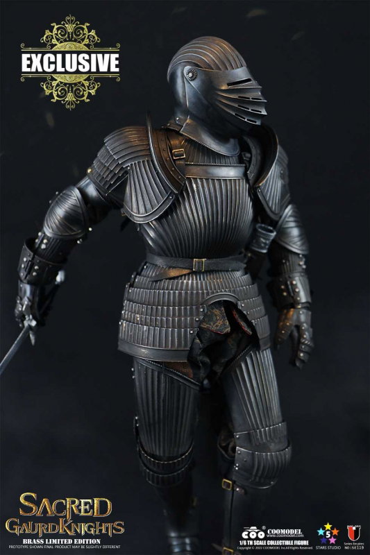Series Of Empires - Sacred Guard Knights (Brass Limited Edition) image 6