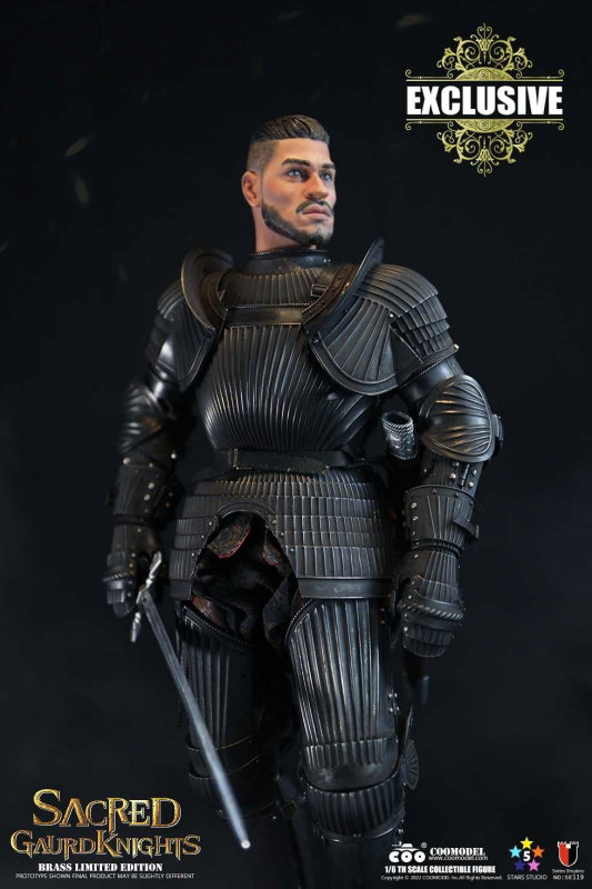 Series Of Empires - Sacred Guard Knights (Brass Limited Edition) image 7
