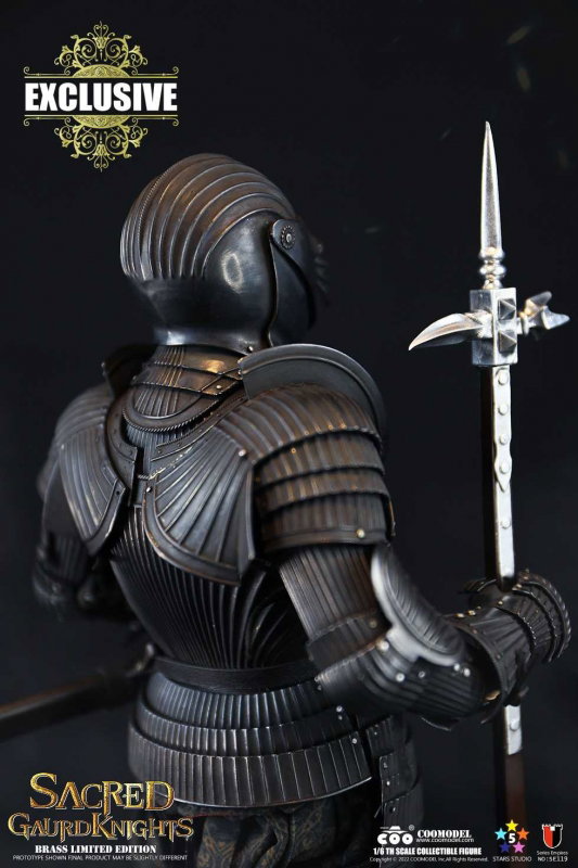 Series Of Empires - Sacred Guard Knights (Brass Limited Edition) image 9