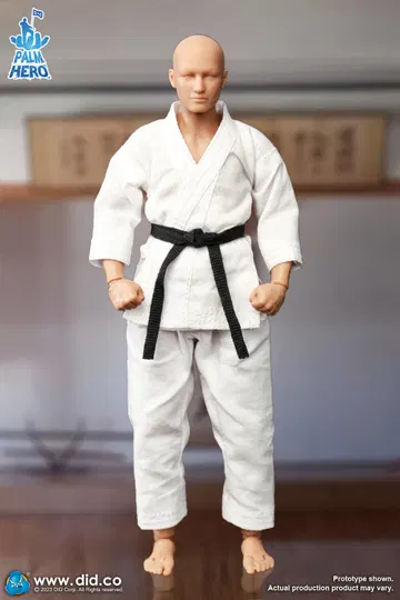 Simply Fun Series - The Karate Player