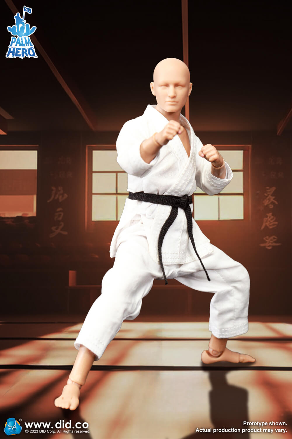 Simply Fun Series - The Karate Player image 10