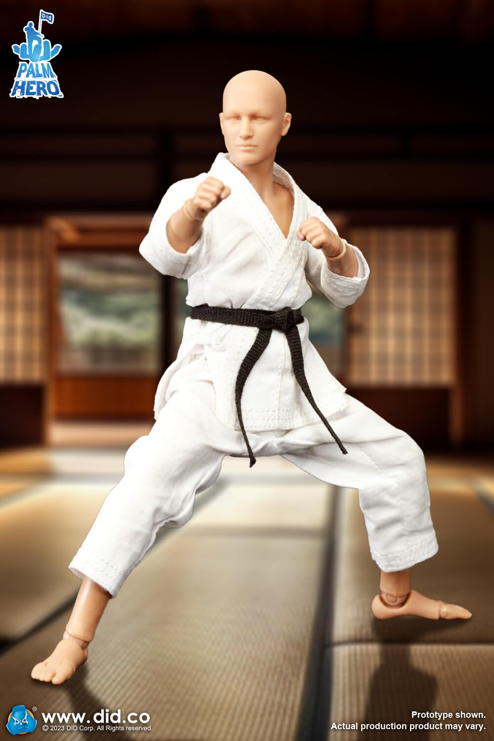 Simply Fun Series - The Karate Player image 2