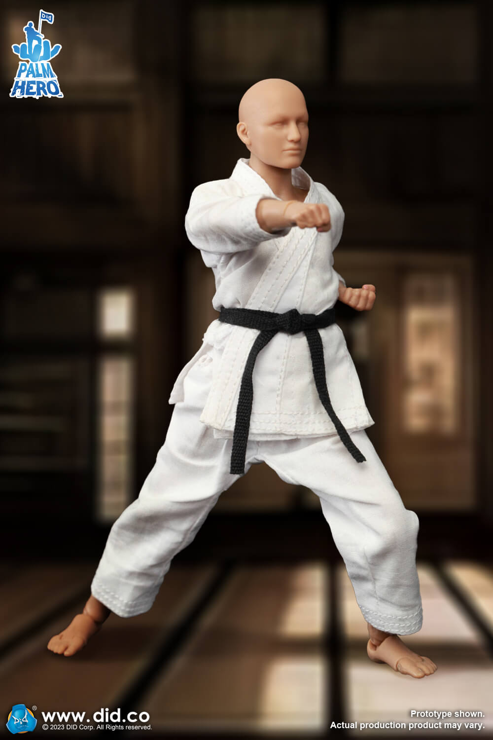 Simply Fun Series - The Karate Player image 3