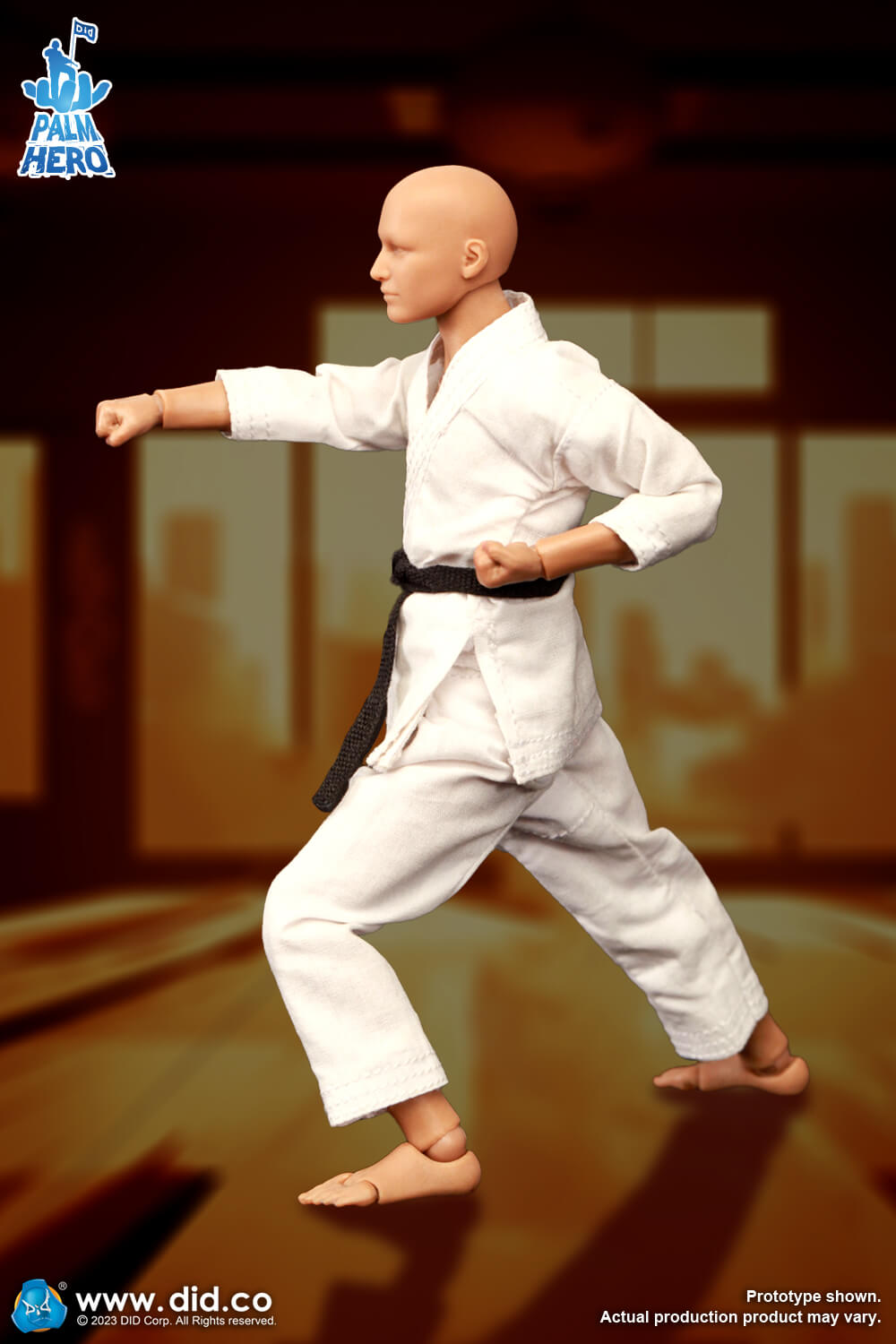 Simply Fun Series - The Karate Player image 4
