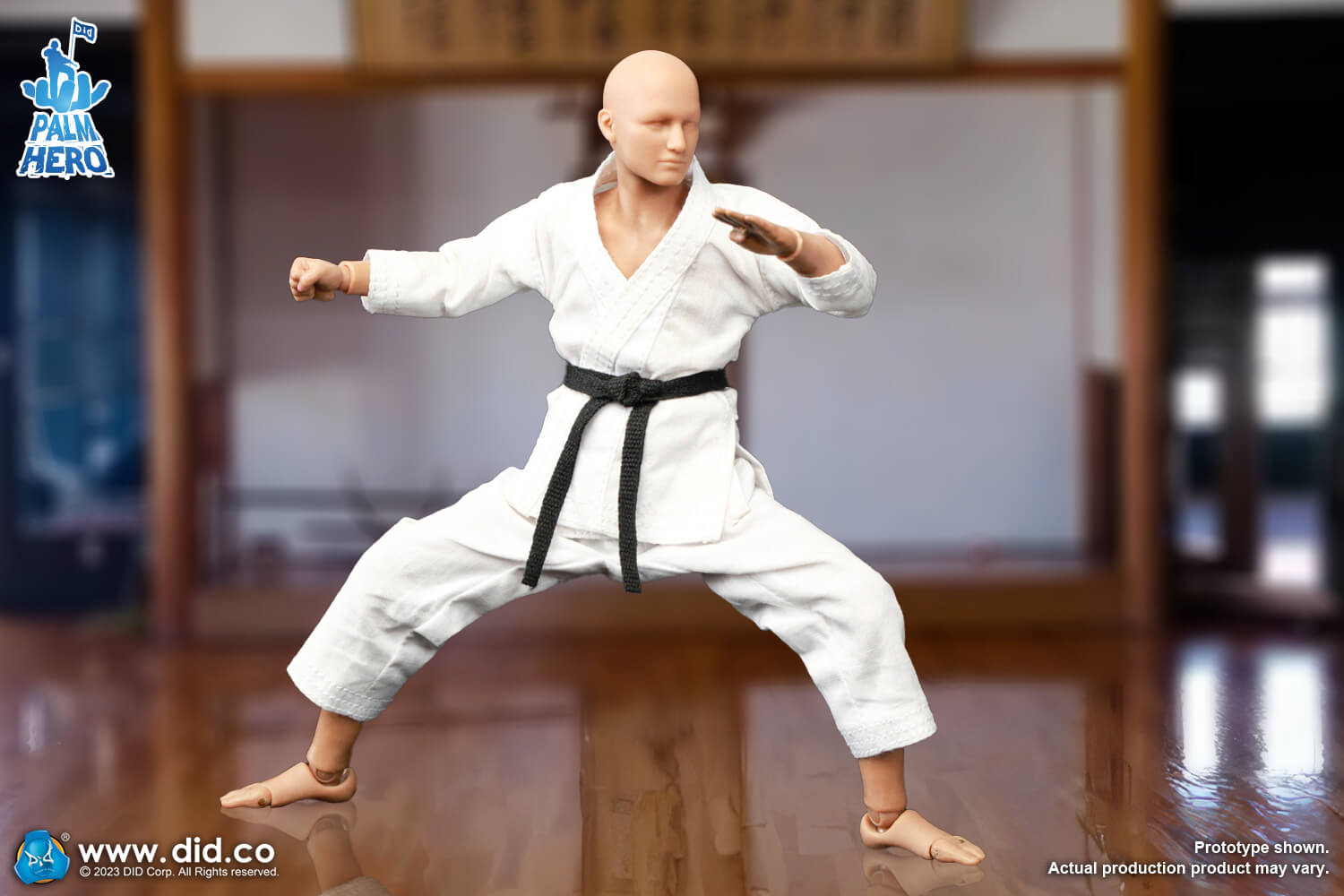 Simply Fun Series - The Karate Player image 5